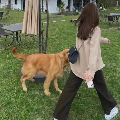精神领袖